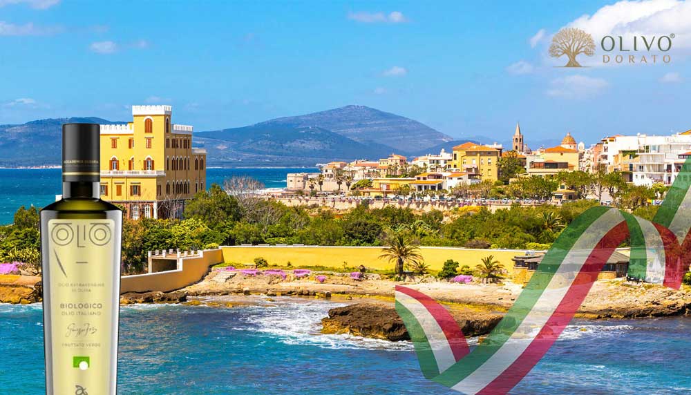 Olivenöl aus Sardinien