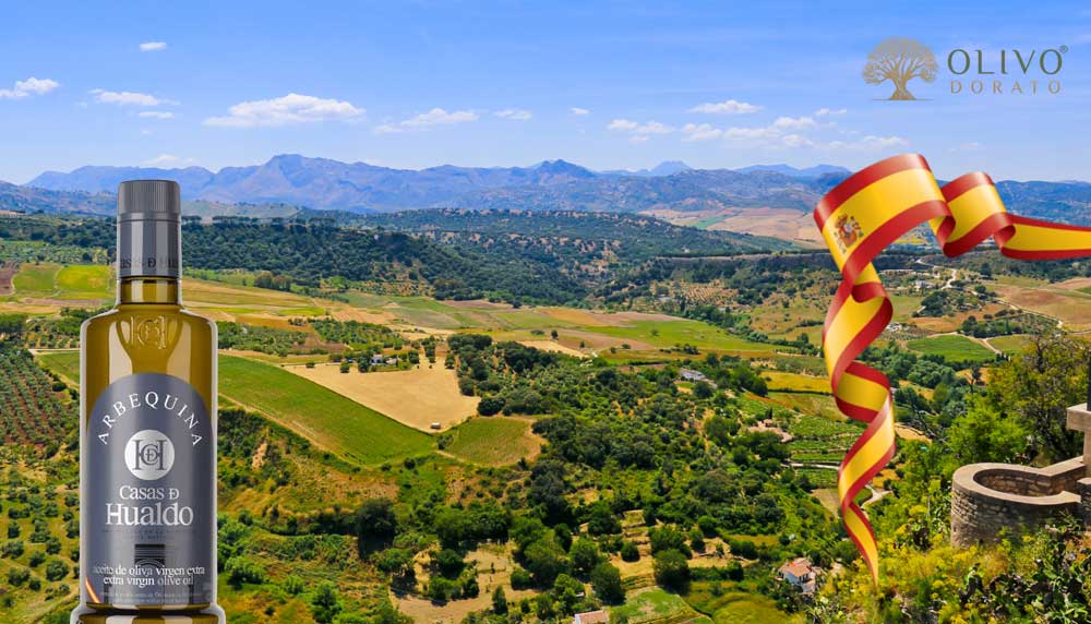Olivenöl aus Spanien