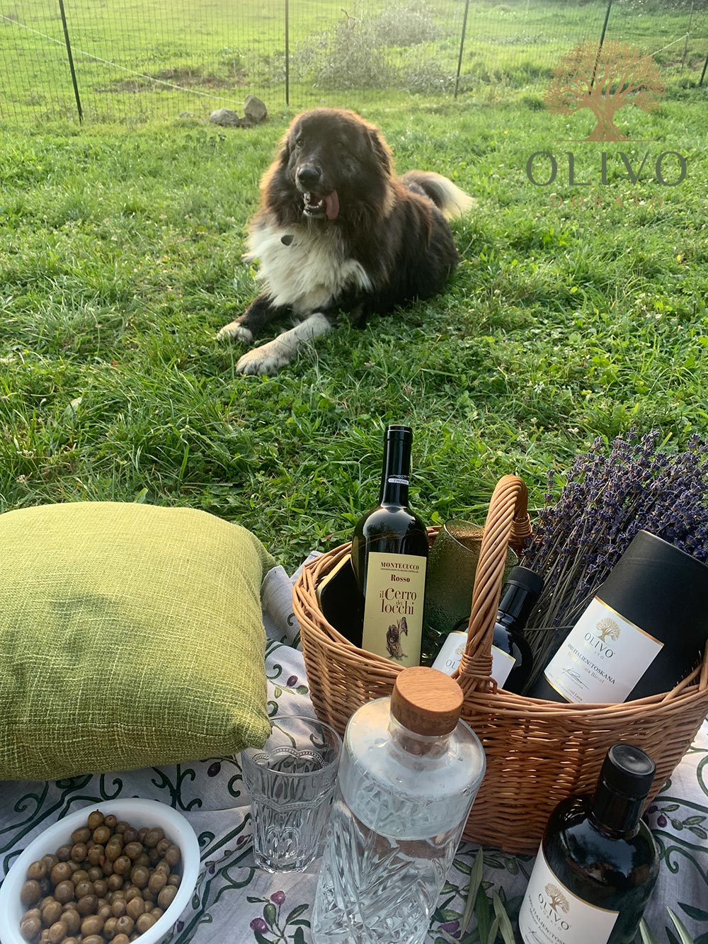 oliodorato und amiata